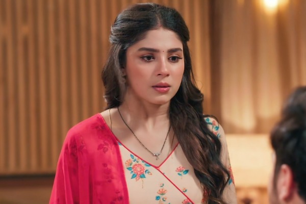 Anupama: Rahi breaks...