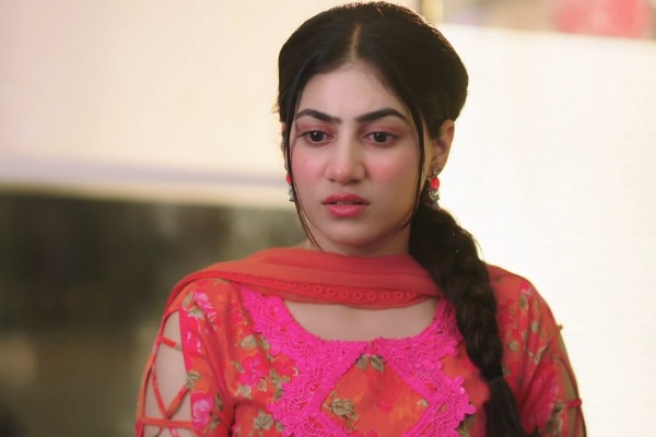 TJJD: Heer claims Ar...