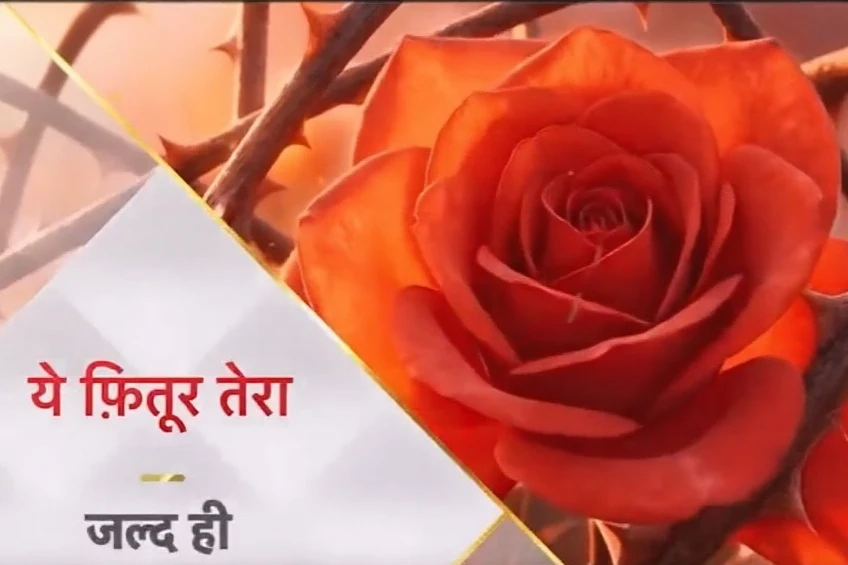 Star Plus New Show Y...
